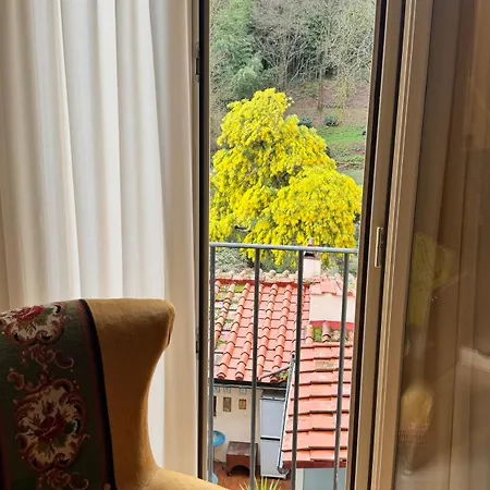Charming Flat San Niccolo 87 公寓 *