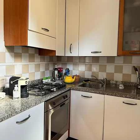 公寓 Charming Flat San Niccolo 87 佛罗伦萨