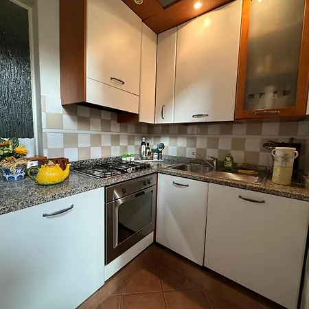Charming Flat San Niccolo 87 公寓