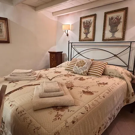 公寓 Charming Flat San Niccolo 87